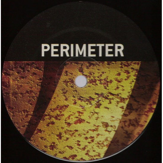 MICHAEL FORZZA - NATURAL STYLE - PERIMETER RECORDS - PERIMETER 002