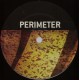MICHAEL FORZZA - NATURAL STYLE - PERIMETER RECORDS - PERIMETER 002