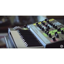 MOOG GRANDMOTHER