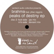 BRAHMA FEAT. JILIAN - PEAKS OF DESTINY - TOES IN THE SAND