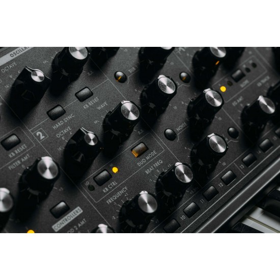 MOOG SUBSEQUENT 37