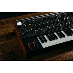 MOOG SUBSEQUENT 37