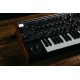 MOOG SUBSEQUENT 37
