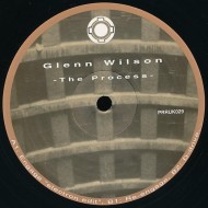 GLENN WILSON - THE PROCESS - PLANET RHYTHM RECORDS