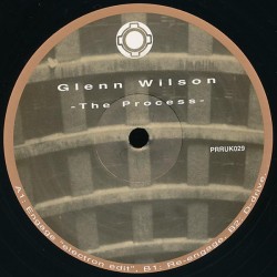 GLENN WILSON - THE PROCESS - PLANET RHYTHM RECORDS