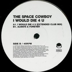THE SPACE COWBOY - I WOULD DIE FOR YOU - SOUTHERN FRIED REC