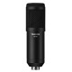 TASCAM TM-70 Dynamic Microphone for Broadcast Streaming