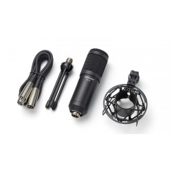 TASCAM TM-70 Dynamic Microphone for Broadcast Streaming