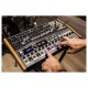 ARTURIA MINIBRUTE 2S Semi-Modular Analog Sequencing Synth Module