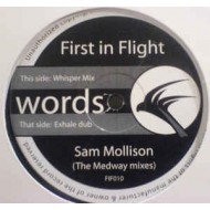 SAM MOLLISON - FIRST IN FLIGHT MEDWAY MIXES - SATELLITE RECORDS