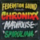 SERATO 2x7" Control Vinyl Chronixx Spirulina