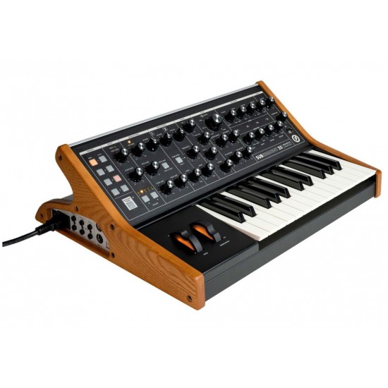MOOG SUBSEQUENT 25