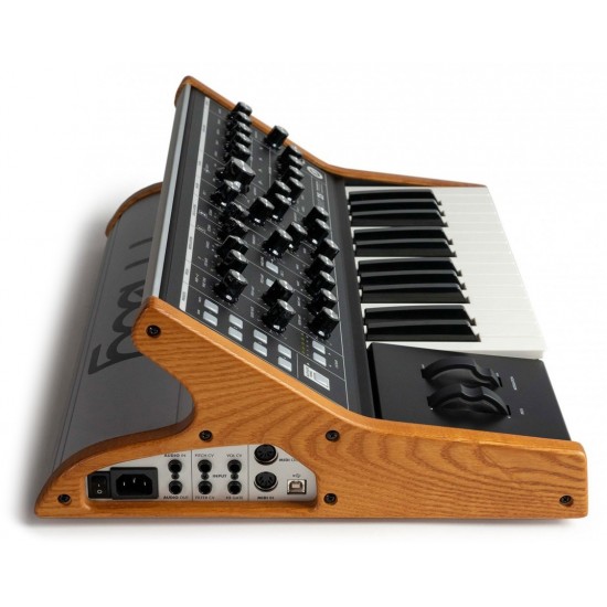 MOOG SUBSEQUENT 25