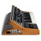 MOOG SUBSEQUENT 25