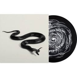 SERATO 2x12" David Ellis ‘Sidewinder’ Control Vinyl natis