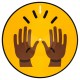 SERATO 2x12" Emoji slikovna plošča "Hands"